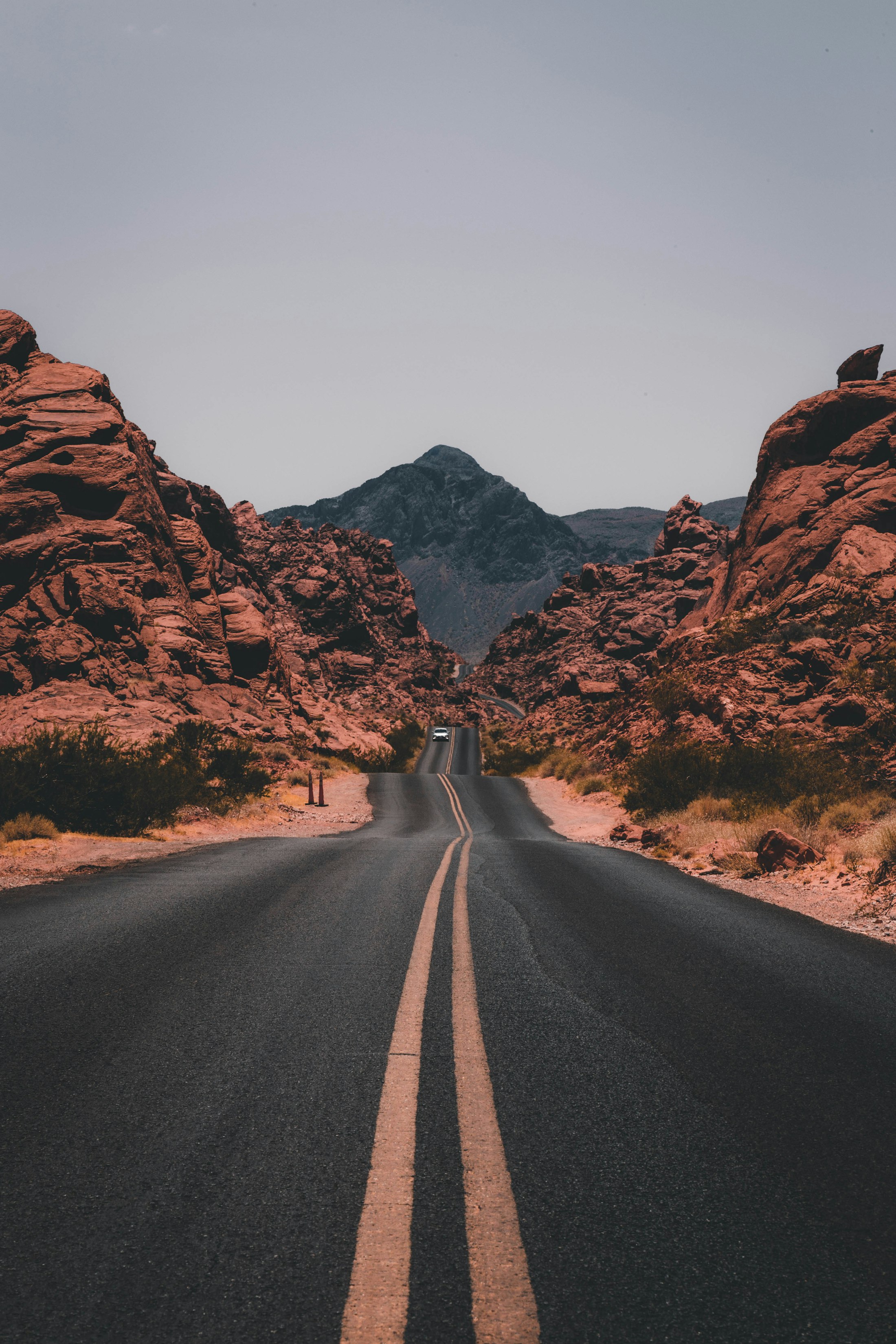 Chemin clair dans un paysage sobre